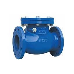 Check Valves Manufacturer in India