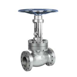 Gate Valves Manufacturer in India